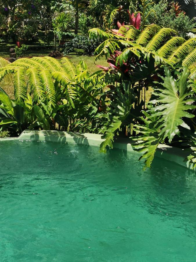 Omati Lodge Taravao Dış mekan fotoğraf